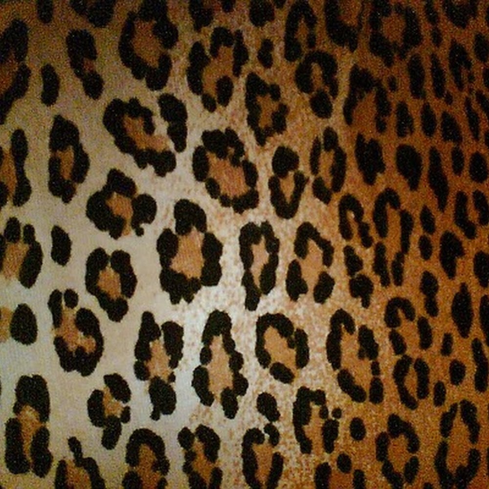 Meet your Posher, Kn